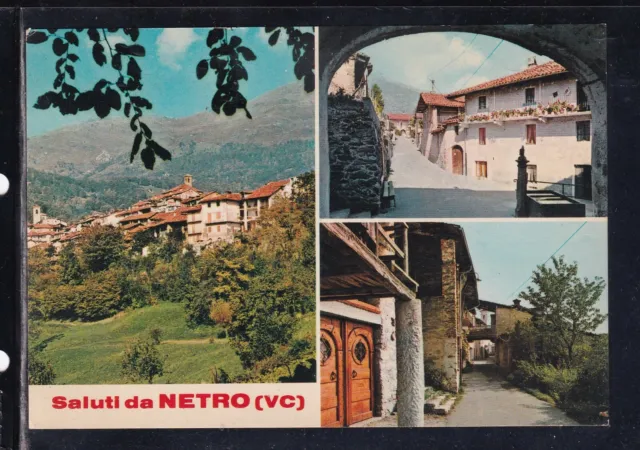 Cartolina Saluti da Netro VEDUTINE AG1867