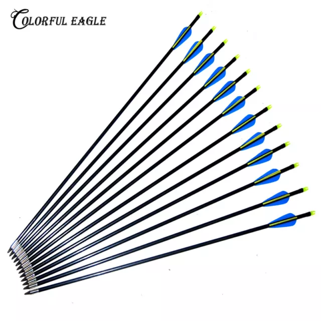 3-30PK Fibreglass Archery Arrows Practice with Steel Tip Compound/Recurve Bow