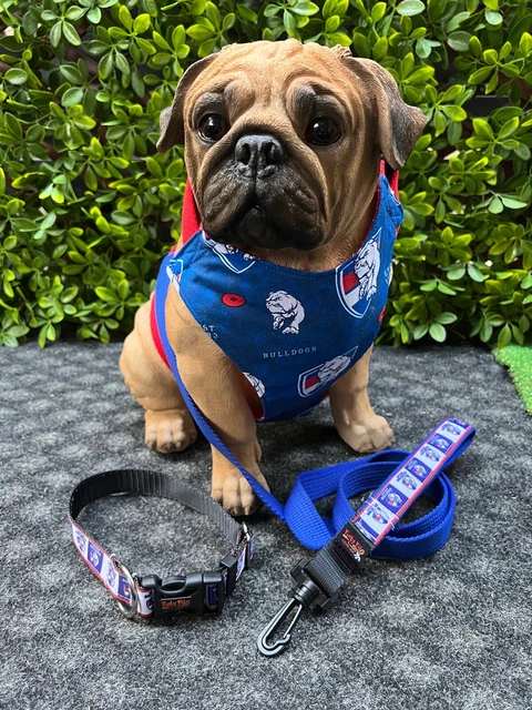 Afl sales dog collars