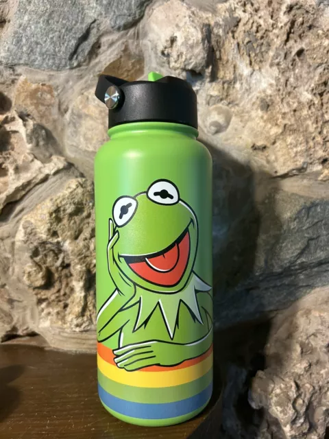 https://www.picclickimg.com/Xx4AAOSwxeNlPCft/Disney-Parks-Kermit-the-Frog-Stainless-Steel-Water.webp