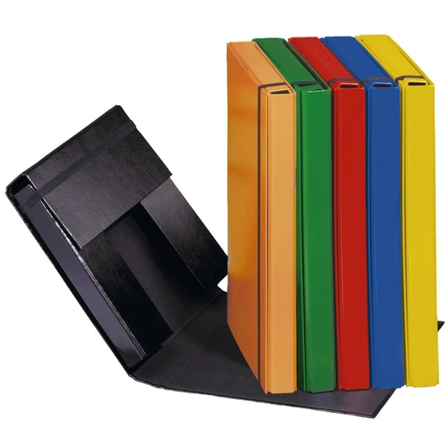 PAGNA Sammelbox A4 Basic, grün 3 Innenklappen, Gummizug (4009212016515)