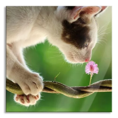 Dulce Gatitos Con Flor Imagen Cuadrados De Vidrio Real, Con Soporte Pared