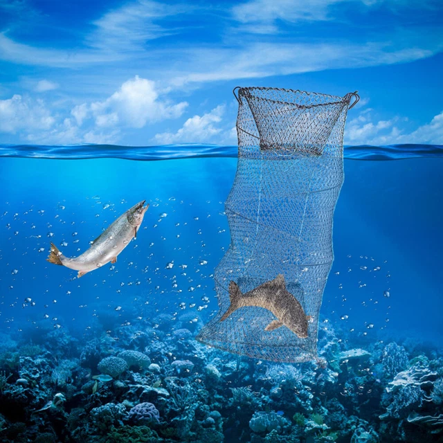 Filet de piège en maille pliable en fonte plaqué zinc Cage de crevettes pour 4
