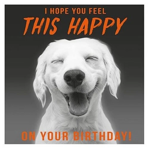 HAPPY BIRTHDAY CARD Dog Cute Humour Joke Funny Open Male Female FREE P