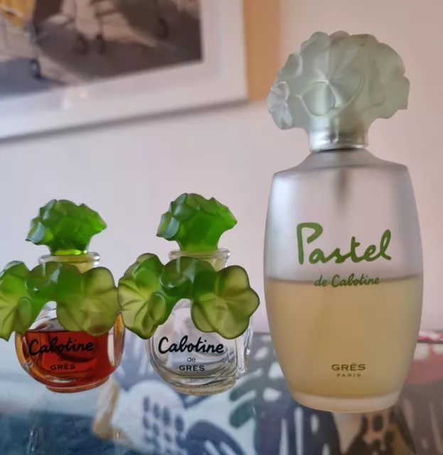 Cabotine gres 2025 perfume