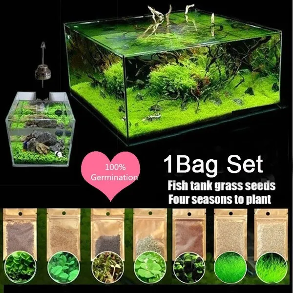 New Aquarium Plant Seeds Fish Tank Aquatic Water Grass Foreground Easy Plants 5g