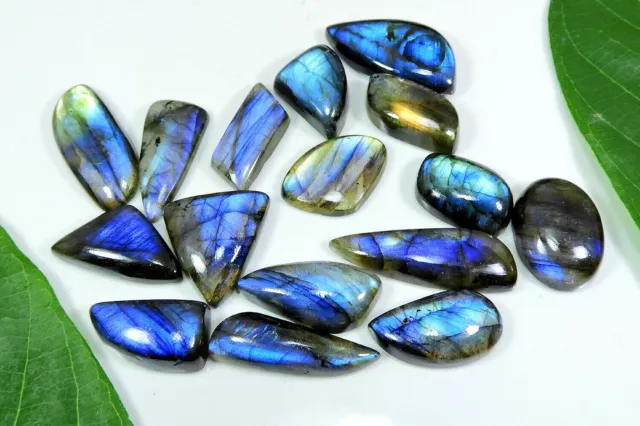 16 pièces de CABOCHON fantaisie en LABRADORITE bleue naturelle, taille de...