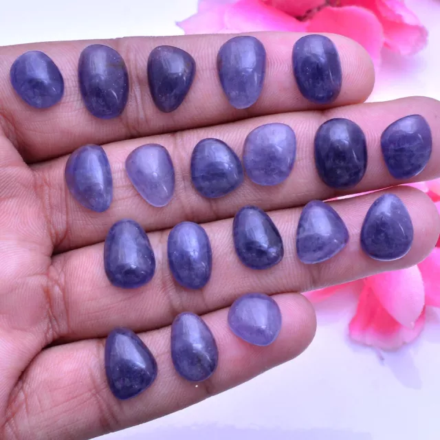 19 Pcs Natural Iolite Cabochon Untreated Loose Gemstones Wholesale Lot~11mm-14mm