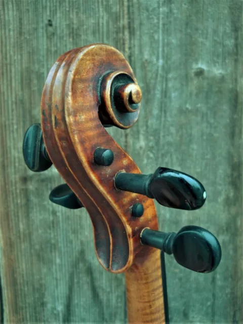 Old violin - Alte Geige bez. "LUIGI AUCIELLO MILANO ~ 1950"