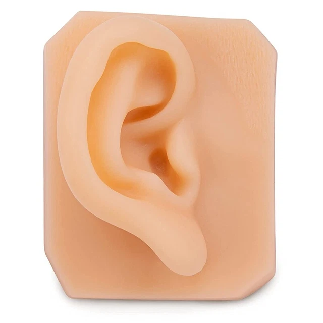 Modelo de silicona suave para oreja derecha para practicar costuras para Schmu F8G9