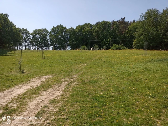 Land for Sale in east sussex 3