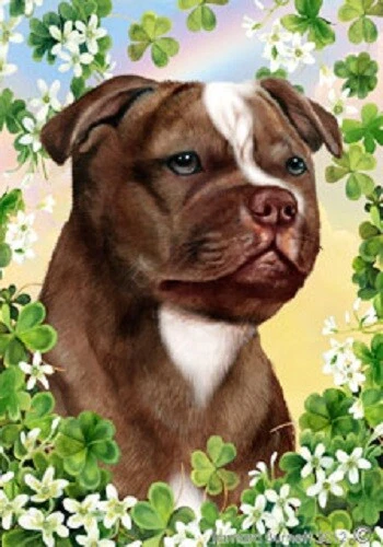 Clover House Flag - Chocolate Staffordshire Bull Terrier 31244
