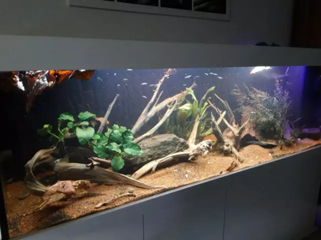 Aquarien Bodengrund Aquariumkies Sand PRO H2O Bioaktiv 1-4mm 5L KLASSIKER