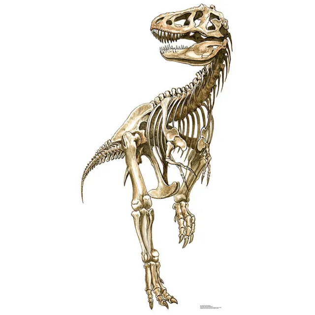 TYRANNOSAURUS REX SKELETON T. Rex Dinosaur CARDBOARD CUTOUT Standee Standup F/S