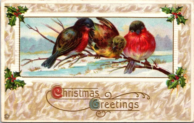 Christmas Greetings Birds Winter Scene Holly Berries Lightly Embossed Postcard