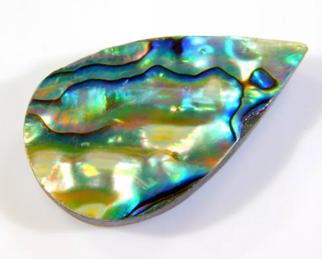 29 CT 100% Naturel Arc-en-Ciel Feu Abalone Coque Poire Cabochon Gemme Ch =3 10