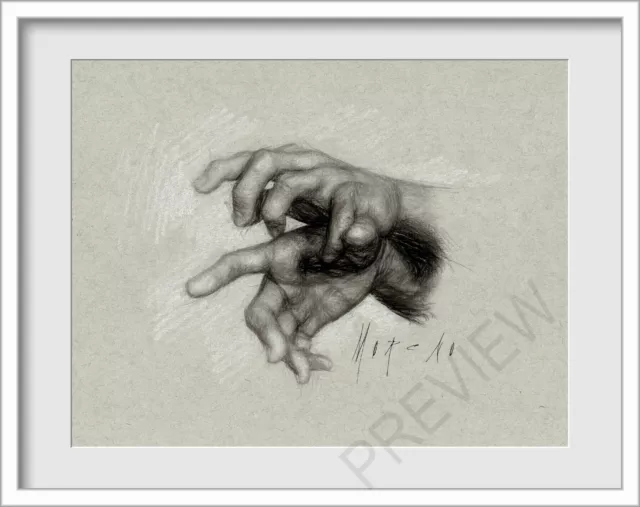 Original Male Hand Arm Study  Figure 8x10 Sketch Drawing FREE SHIPPING