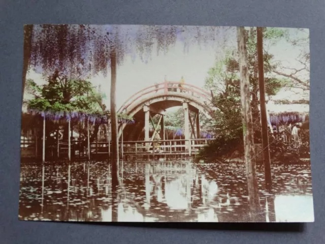 Fluss mit Brücke - kol. Photographie Japan Asiatika Landschaft Glyzinien - 1900