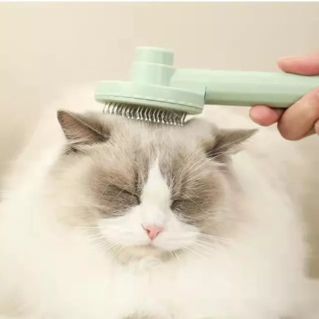 Cat Brush Pet Comb Self Cleaning Slicker Brush  Remove Hair Grooming Slicker Dog