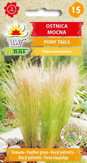 Semillas The Feather Grass PONY TAILS (Stipa tenuissima) 0,1 g