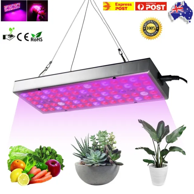 1000W LED Grow Light Full Spectrum Indoor Hydroponic Plant Veg Flower Panel Lamp
