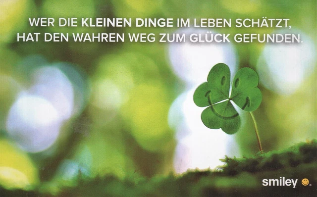 Smiley Karte BSB Geburtstag Glückwunsch Grußkarte Humor Lachen Minikarte Zitat