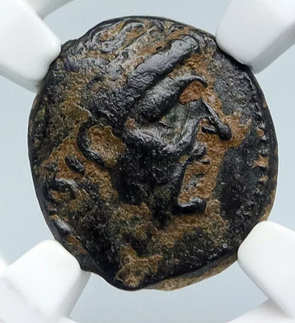 ANTIOCHOS I Soter 281BC Seleukid Authentic Ancient Greek Coin Apollo NGC i89557