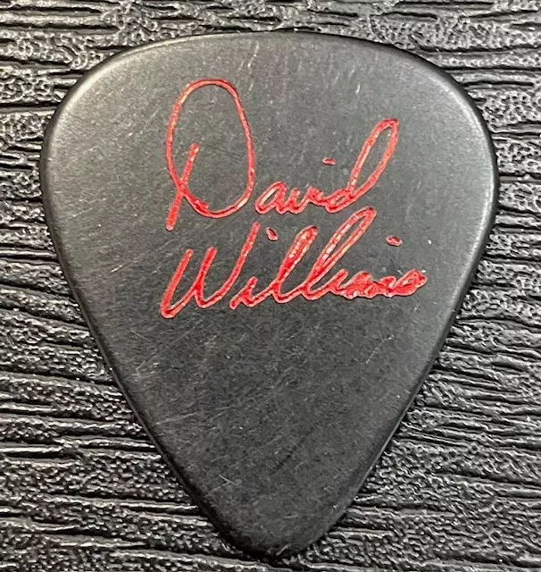 Madonna / David Williams / 1980'S!!  / Vintage!! / Rare!! / Tour  Guitar Pick