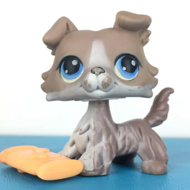 Authentic Littlest Pet Shop #67 Collie Dog / Original Hasbro LPS