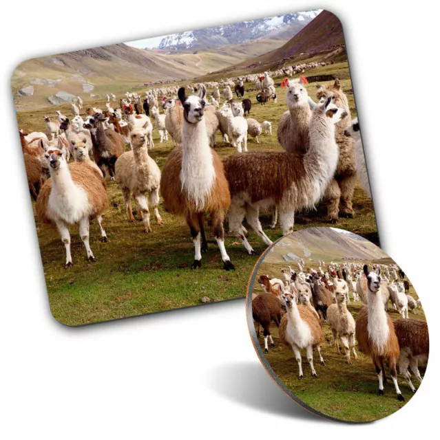 Mouse Mat & Coaster Set - Llama Herd Alpaca Peru Wild  #45592