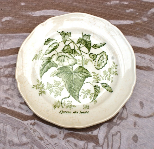 ANCIENNE ASSIETTE DESSERT diam 17 cm GIEN FRANCE décor liseron des ...