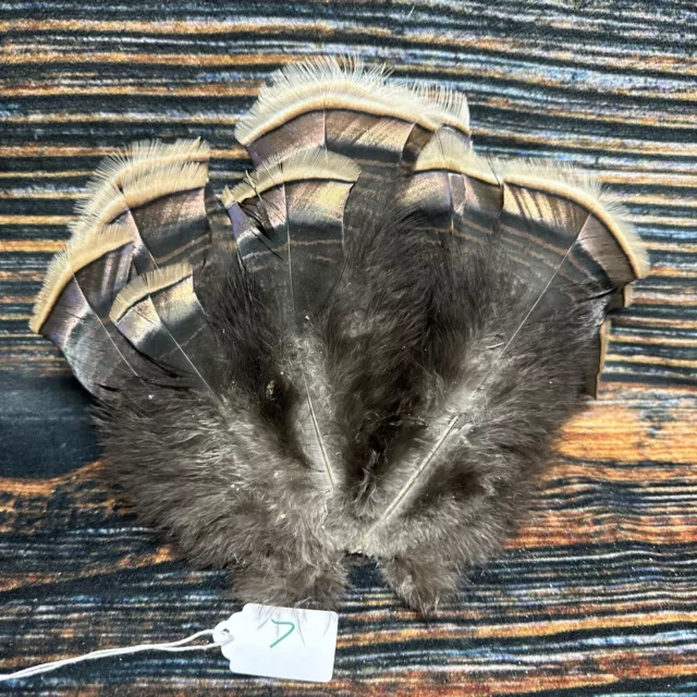 Mini Wild turkey Tail feathers plume art fan Bustle Fly Tying Craft Mount Voodoo