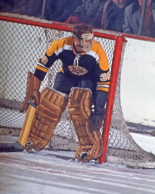 GERRY CHEEVERS Photo Picture BOSTON BRUINS Goalie Mask Print 8x10 or 11x14  (GC2)