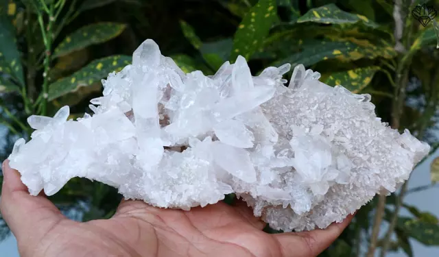 476G Fabuloso Puntiagudo Blanco Cristal de Cuarzo Áspero Minerales Raw Muestra