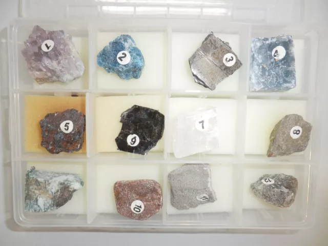 12 Mineral Stone Collection Set in Plastic Box MSS12-1 Education Specimen Kit
