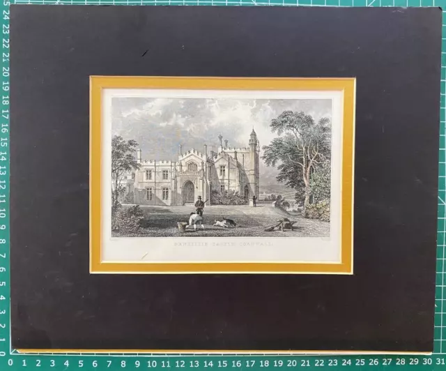 1831 Antique Print; Pentillie Castle, Cornwall after T. Allom