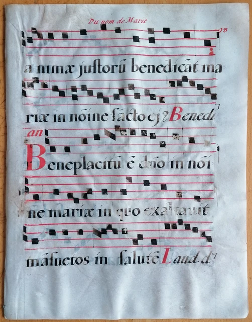 Original Blatt Manuskript Antiphonarium Pergament Folio (A) - 1550