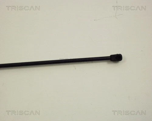 Coppia Piatelli Ammortizzatore Per Fiat Bravo, Delta, Stilo - Ricambio AGM Parts - Foto 6