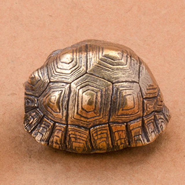 HAICN Spazzola Pulizia Tartaruga | Doppia Faccia Per Guscio E Habitat | 2 Pezzi Blu E Verde - Foto 4