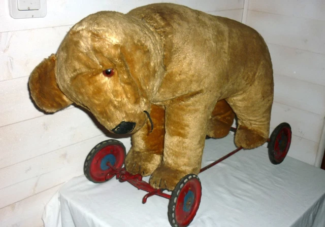 Steiff - Jouet en peluche Ours ancien sur plateau à roulettes - 1920
