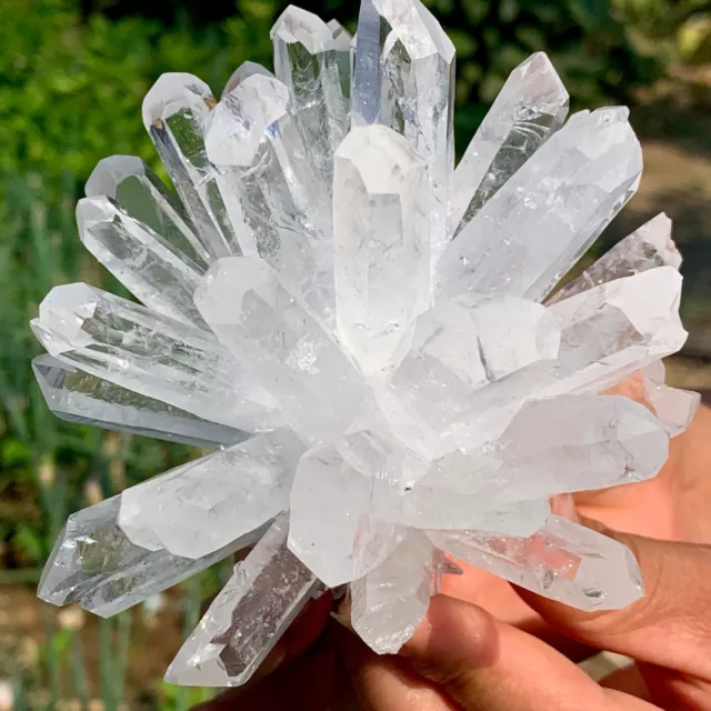 480g New Find white PhantomQuartz Crystal Cluster Mineral Specimen