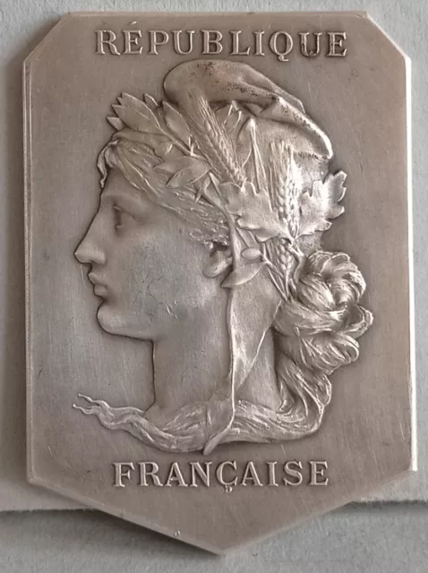 Médaille Bronze Argenté 36ème Régiment Territorial d'Infanterie WWI