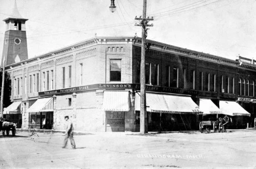 Street View Birmingham Michigan MI Reprint Postcard