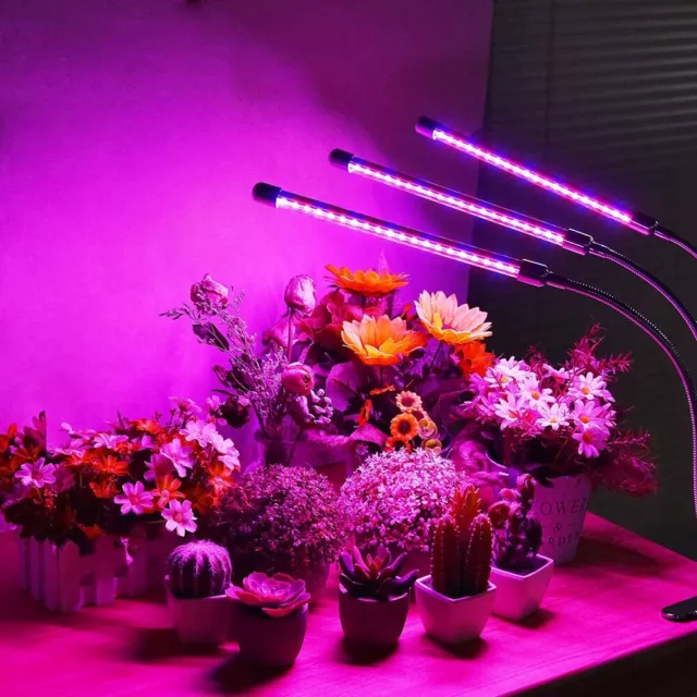 Luz de crecimiento LED de 60 W para clip de espectro de plantas de interior lámpara de crecimiento para casa jardín 3