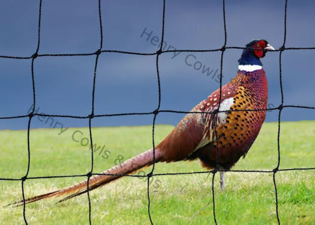 Poultry  Game Netting 14’ x 14’ Pheasant Anti Bird Net 38mm mesh knotted