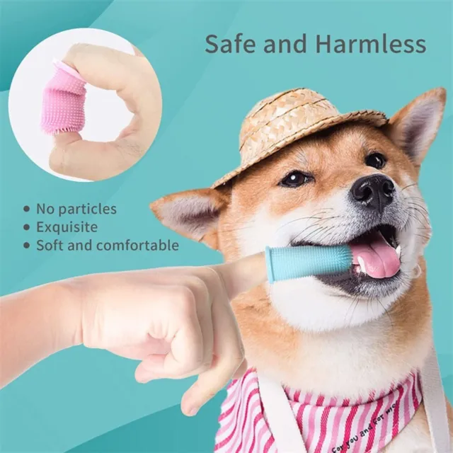 mascotas Dedo para mascotas Limpieza de dientes Cepillo de dientes Mal aliento