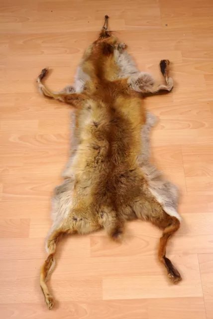 Schönes Fuchsfell Fox Fur mit Bescheinigung