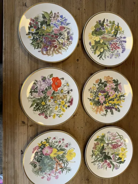 Vintage Carverswall Spink, Wildflowers 6 Plate Collection, Limited Edition, 23cm