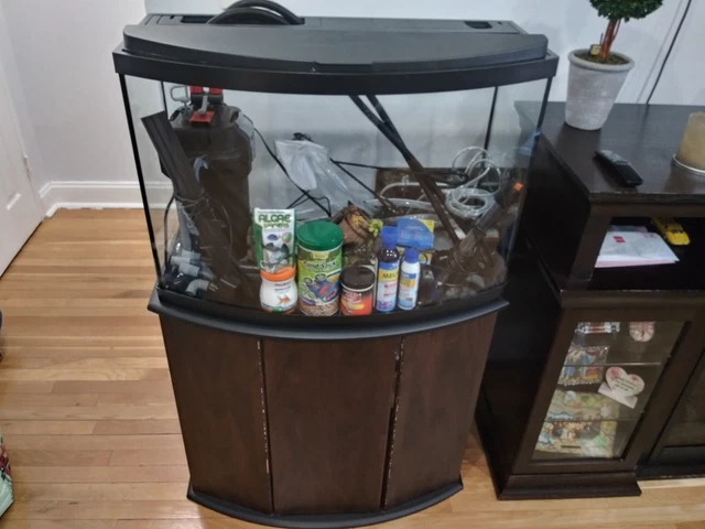 Fish Tank