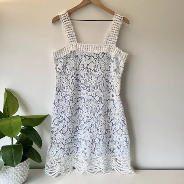 Design Lab Lord & Taylor Blue White Pinstripe Eyelet Lace Dress Large